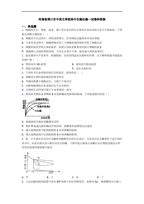 河南省周口市中英文学校高中生物必修一试卷和答案