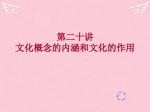 高考政治专题复习 文化概念的内涵和文化的作用 ppt