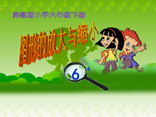苏教版 六年级数学下册课件 _ 图形的放大和缩小 (2)(18张PPT)