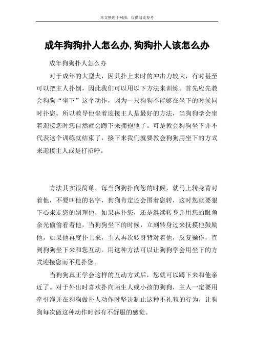 成年狗狗扑人怎么办,狗狗扑人该怎么办