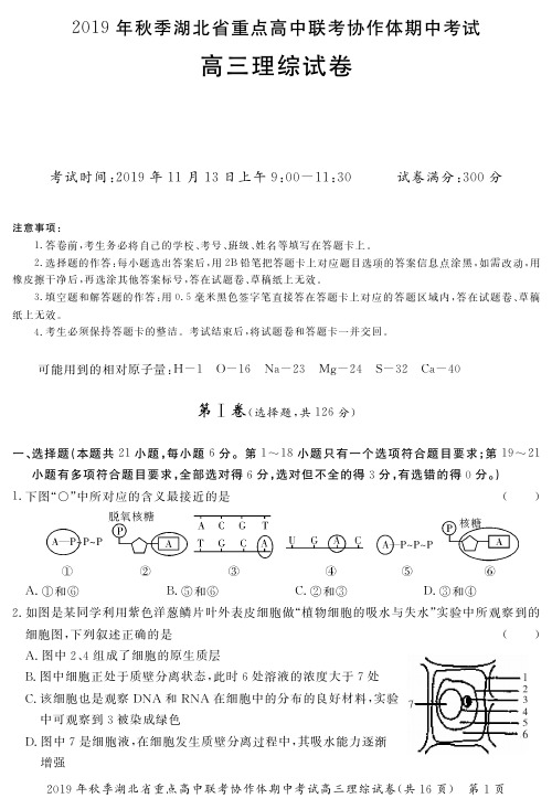 2019年秋季湖北省重点高中高三期中考试(理综)