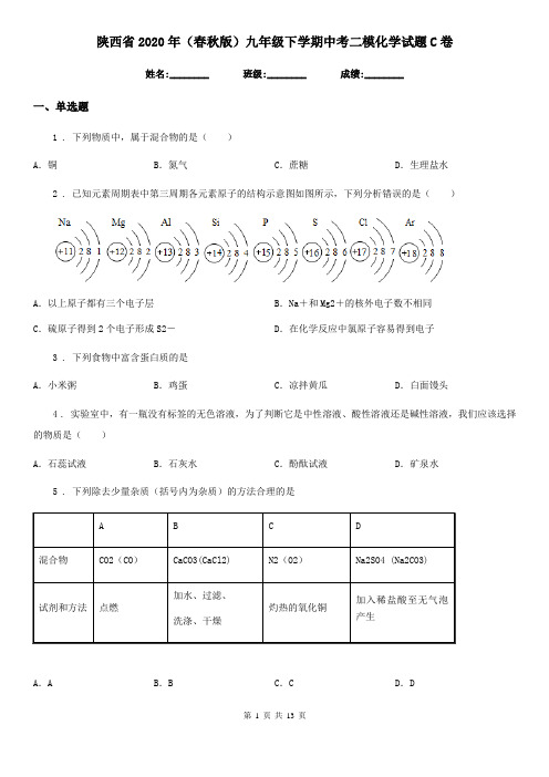 陕西省2020年(春秋版)九年级下学期中考二模化学试题C卷
