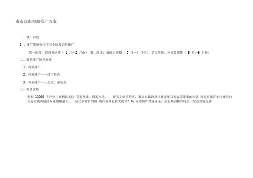 商业街招商推广方案