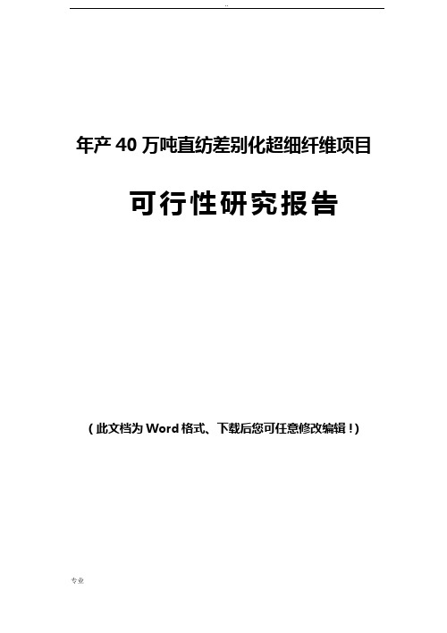 年产40万吨直纺差别化超细纤维项目可行性研究报告