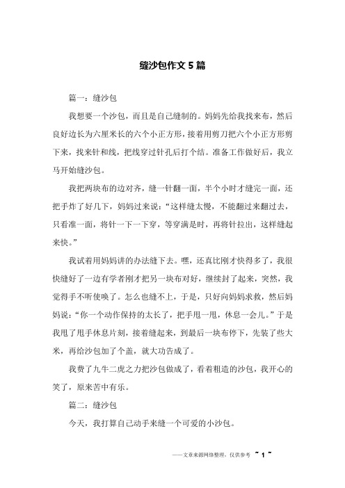 缝沙包作文5篇