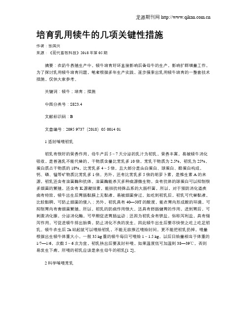 培育乳用犊牛的几项关键性措施