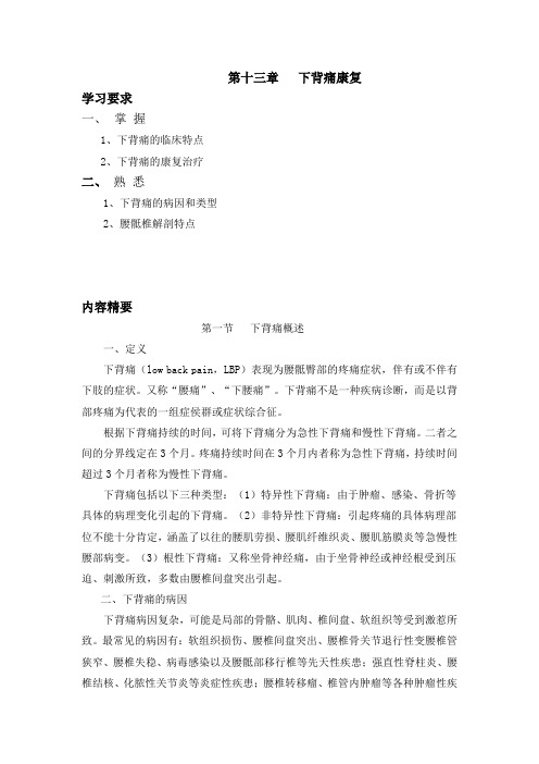 第十三章_下背痛的康复