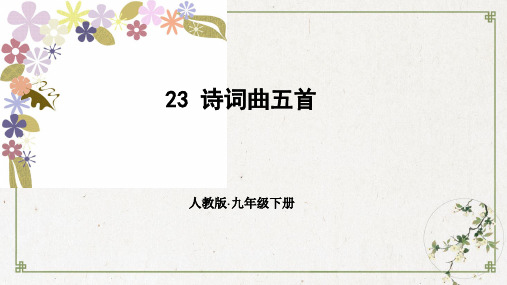 部编人教版-十五从军征优秀ppt课件1