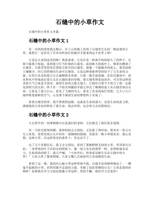 石缝中的小草作文