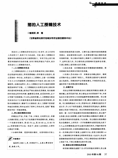 猪的人工授精技术