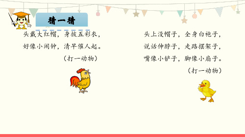 小公鸡和小鸭子课件