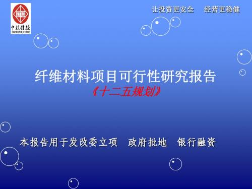 纤维材料项目可行性研究报告