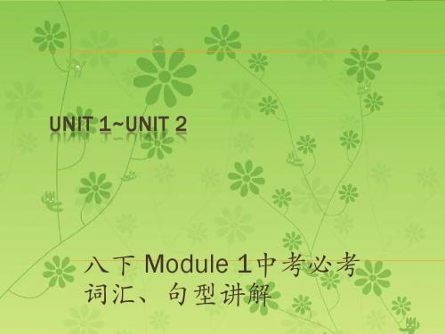 【中考宝典】2016中考英语(深圳地区)复习(课本梳理)课件：13八下Unit 1~Unit2(PPT)