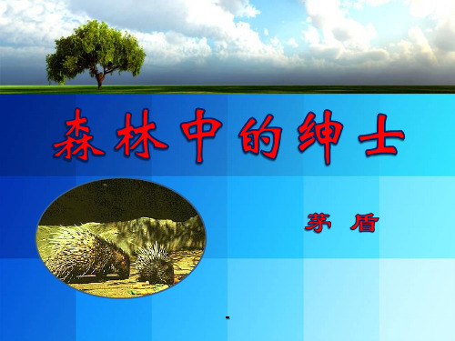 森林中的绅士-PPT课件  (2)