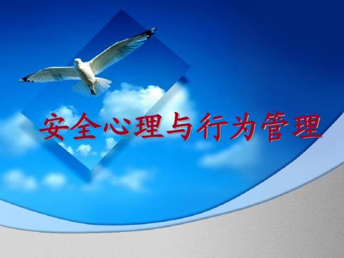 安全心理与行为管理