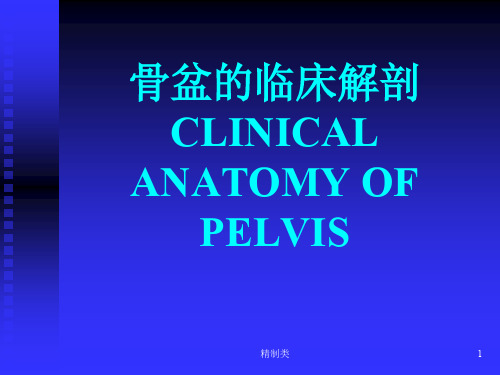 骨盆的临床解剖(精制医学)