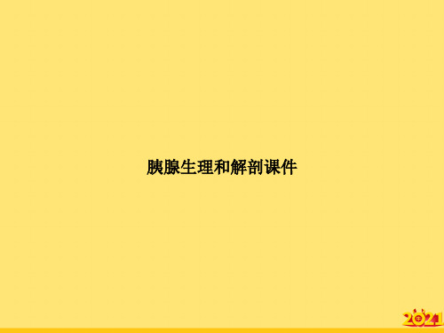胰腺生理和解剖完美正规版