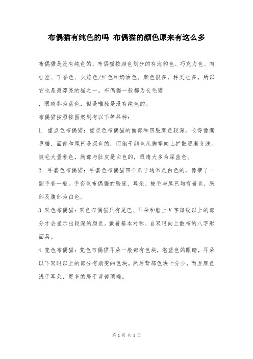 布偶猫有纯色的吗 布偶猫的颜色原来有这么多