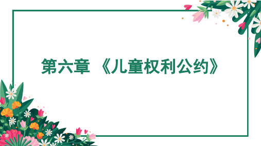 第六章《儿童权利公约》