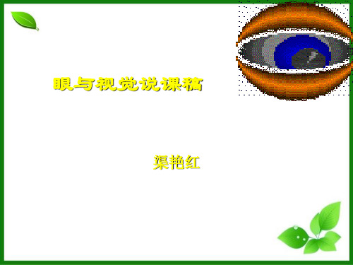 眼与视觉PPT课件(说课) 北师大版