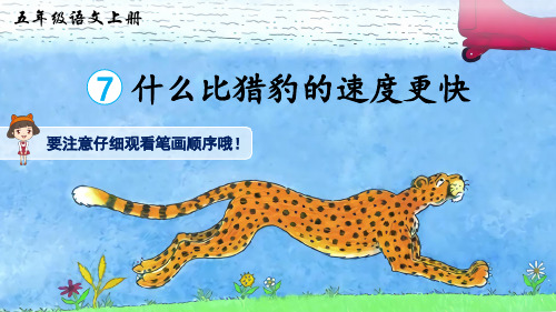 部编版小学语文五年级上册 第二单元 《7 什么比猎豹的速度更快》(生字讲解课件)