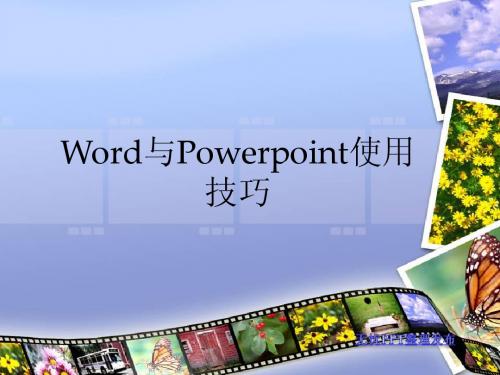word与Powerpoint使用技巧