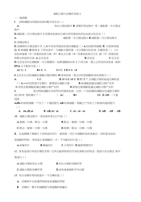 减数分裂与受精作用练习.docx