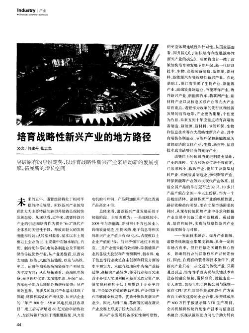 培育战略性新兴产业的地方路径