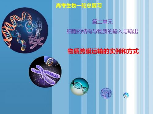 高考生物一轮复习：物质跨膜运输的实例和方式