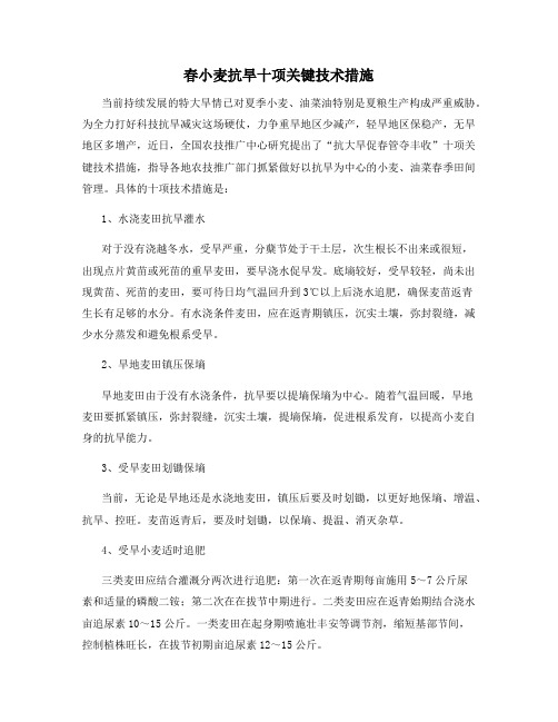 春小麦抗旱十项关键技术措施