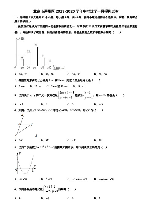 北京市通州区2019-2020学年中考数学一月模拟试卷含解析