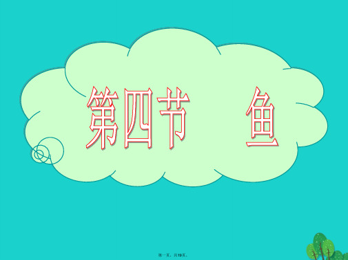 八年级生物上册5.1.4鱼课件(新版)新人教版