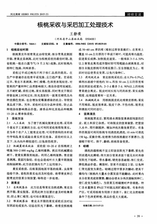 核桃采收与采后加工处理技术