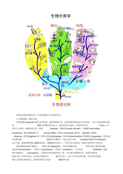 生物分类学(最新完整版)