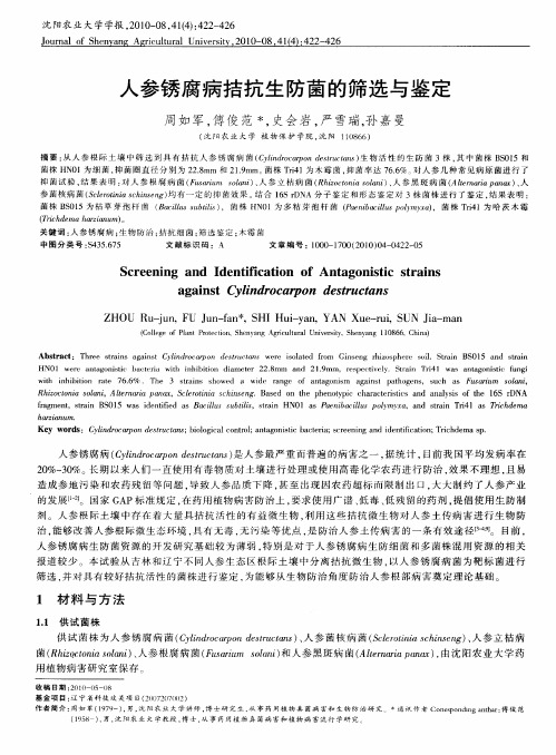 人参锈腐病拮抗生防菌的筛选与鉴定
