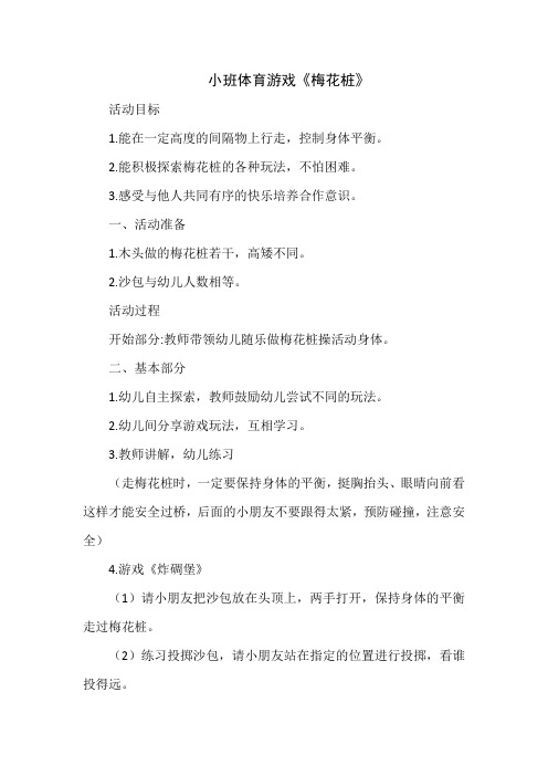 小班体育游戏《梅花桩》