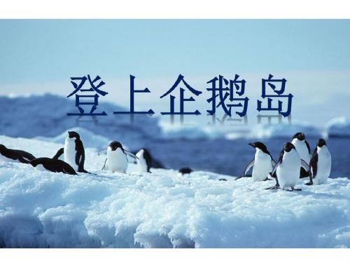 三年级下语文课件-14 登上企鹅岛 语文S版(共26张PPT)