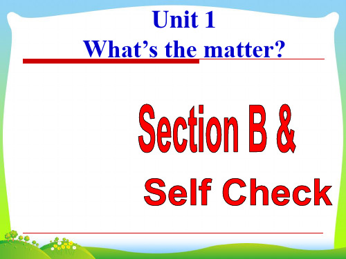 人教版八年级英语下册Unit 1 Section B-Self Check优质课课件