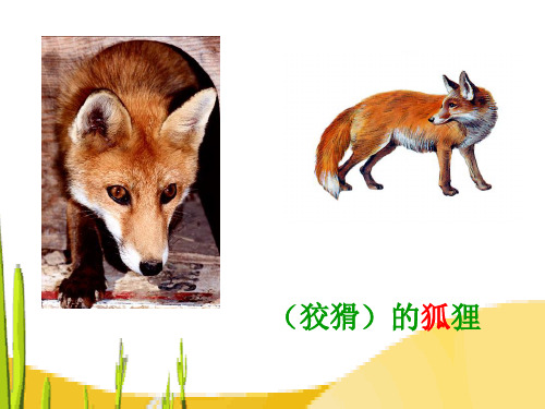 《狐假虎威》课件(苏教版二年级语文下册课件)