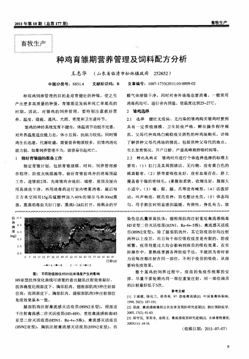 种鸡育雏期营养管理及饲料配方分析