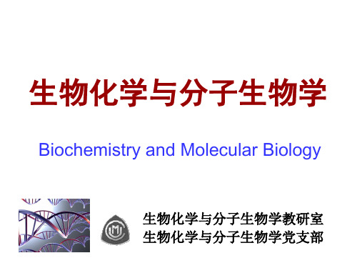 蛋白质的结构和功能.ppt