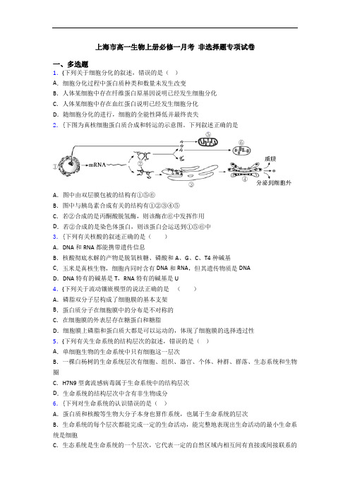 上海市高一生物上册必修一月考 非选择题专项试卷