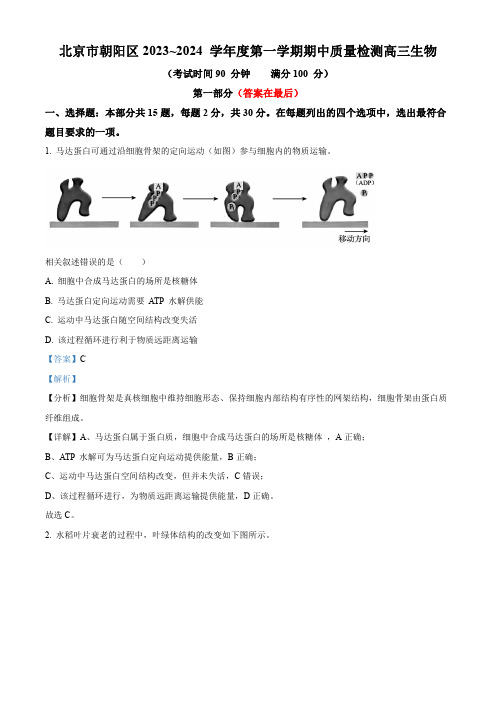 北京市朝阳区2023-2024学年高三上学期期中质量检测 生物含答案