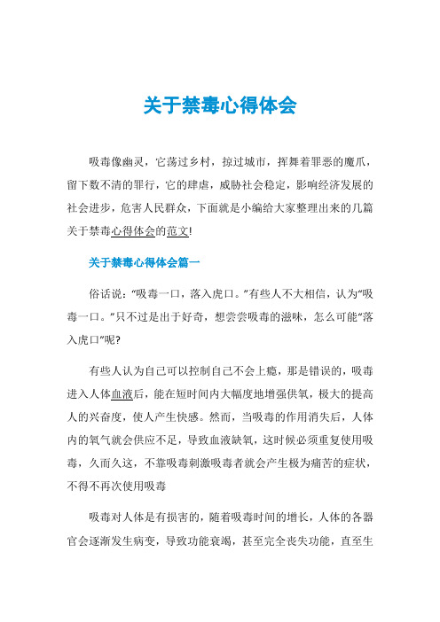 关于禁毒心得体会