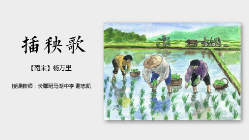 统编版高中语文必修上册《插秧歌》课件15张PPT