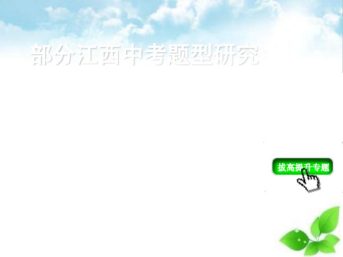 江西中考物理复习专题五：计算题ppt