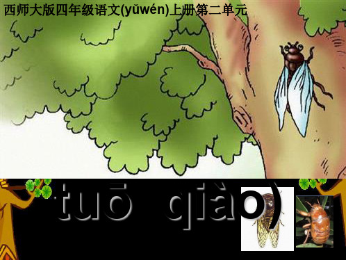 西师大版小学四年级上册语文第8课《金蝉脱壳》课件PPT