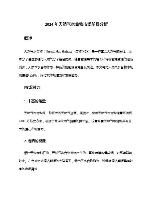 2024年天然气水合物市场前景分析