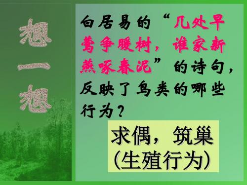 鸟类的生殖和发育