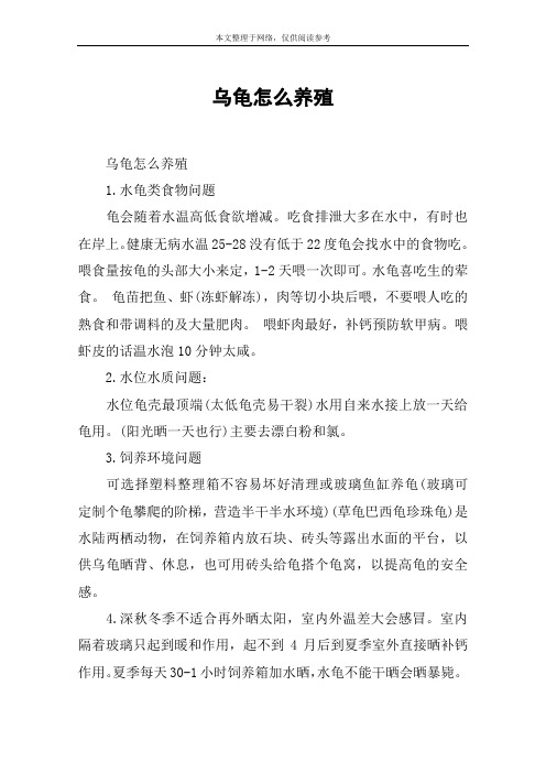 乌龟怎么养殖